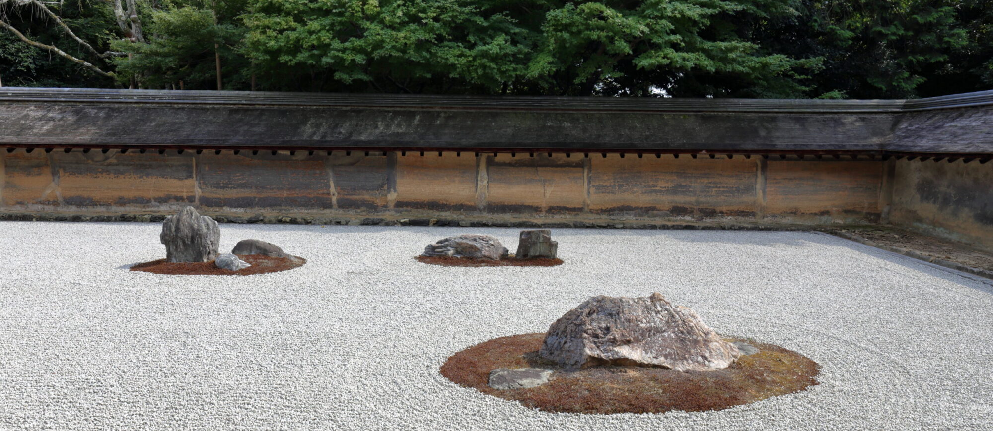 Seiichiro Tani (谷 誠一郎)